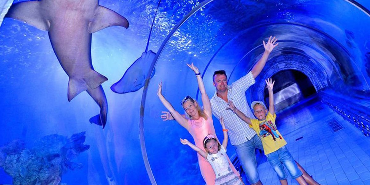 Hurghada Grand Aquarium – Besuch ab Hurghada