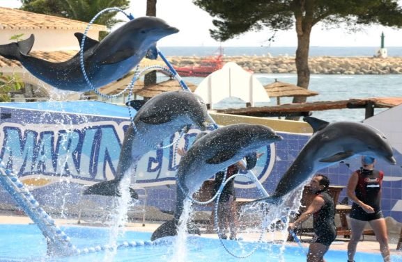 040083c477a2bbe87e89ca837ee85dc1