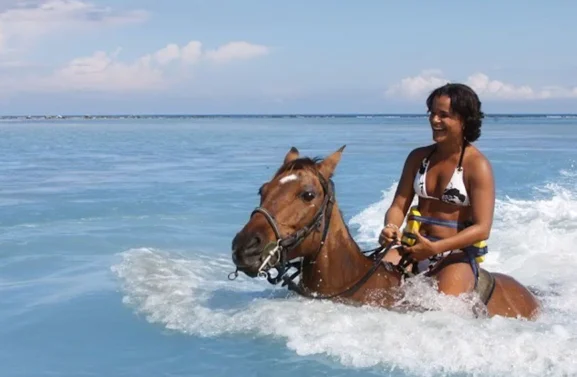 5735de29 cb7e 44d3 af35 432243b03ff5