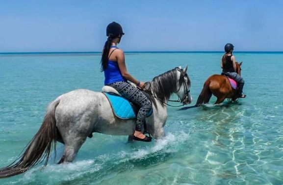 900x600 1 50 bad1f67a23df14f22f1a6289f2ec4e7b