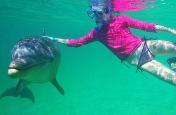 dolphin swim and snorkel mahogany bay isla roatan 14