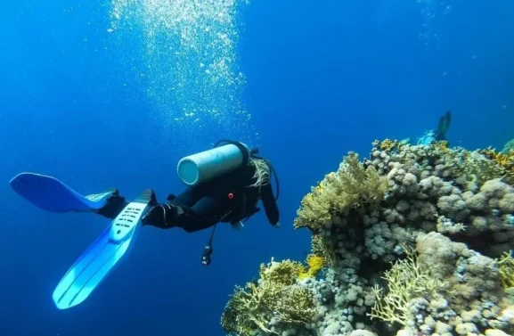 Img 20210329 200445 E1684621720191 Q9f3pkqmzug6flgmaubheqhsn2yjuca50l5np8wokw Reatk3akvuk9ss0l2cp2scvsni7fnpbwlx5wxlhybe