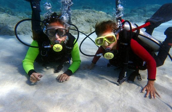 thumb 9119663 cover header